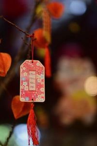 bắn cá lừa đảo